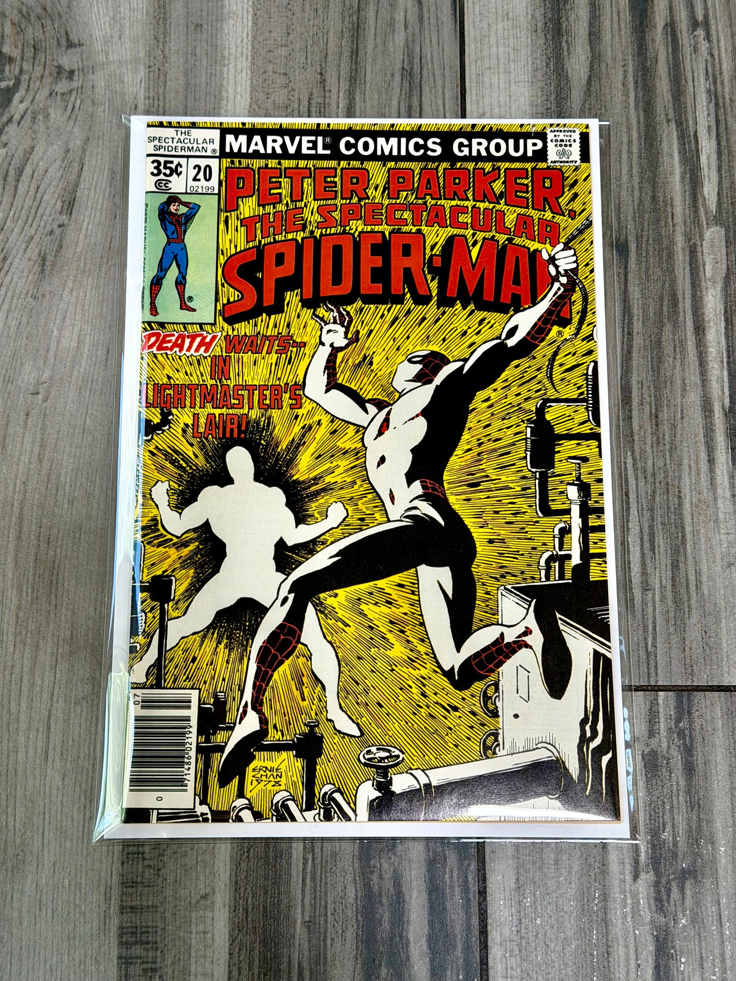 
                  
                    Spectacular Spider-Man issue #20
                  
                